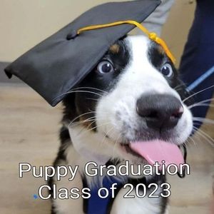 Meet your Posher, Kari